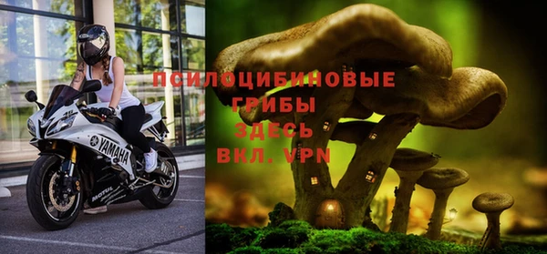 соль курить ск Белокуриха