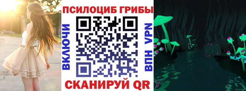 hydra как зайти  Пикалёво  Псилоцибиновые грибы мухоморы 
